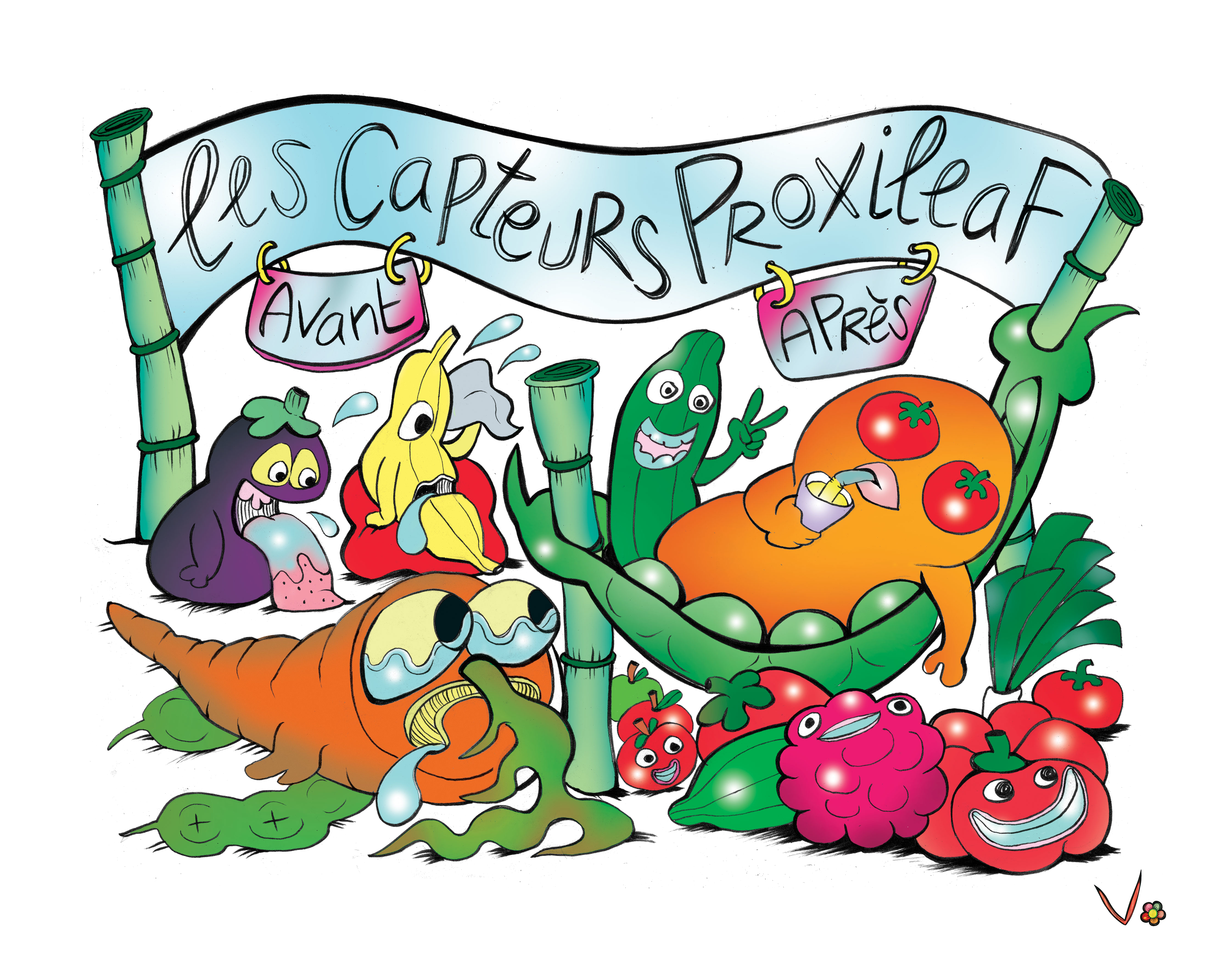 Avant / après ProxiLeaf : une parcelle mieux irriguée